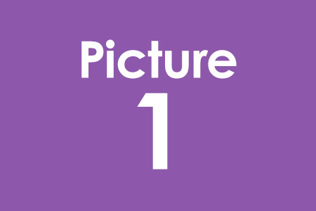 Story 1 Picture 1 Alt Text